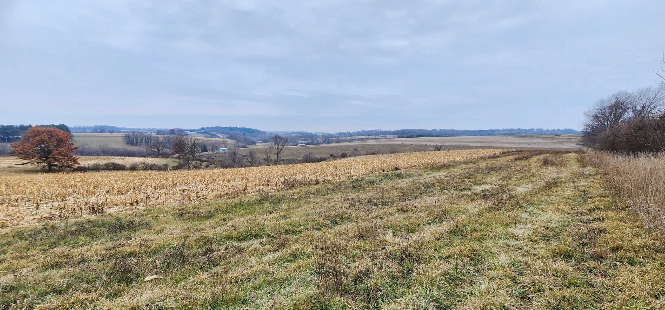 Approx. 69.52 Acres of Beautiful Land (Approx. 50 Acres Tillable) SW Wisconsin