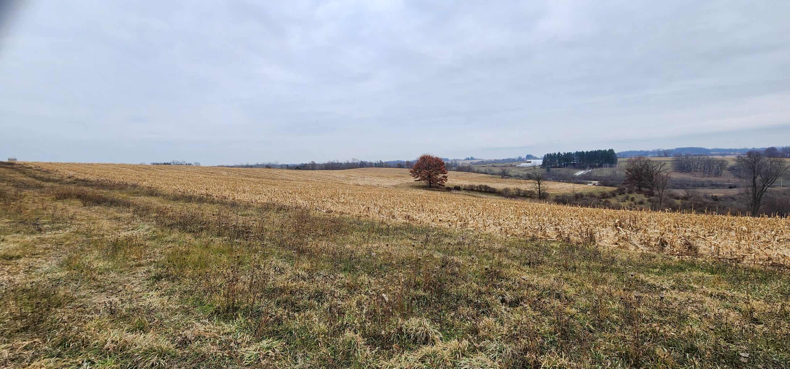 Approx. 69.52 Acres of Beautiful Land (Approx. 50 Acres Tillable) SW Wisconsin
