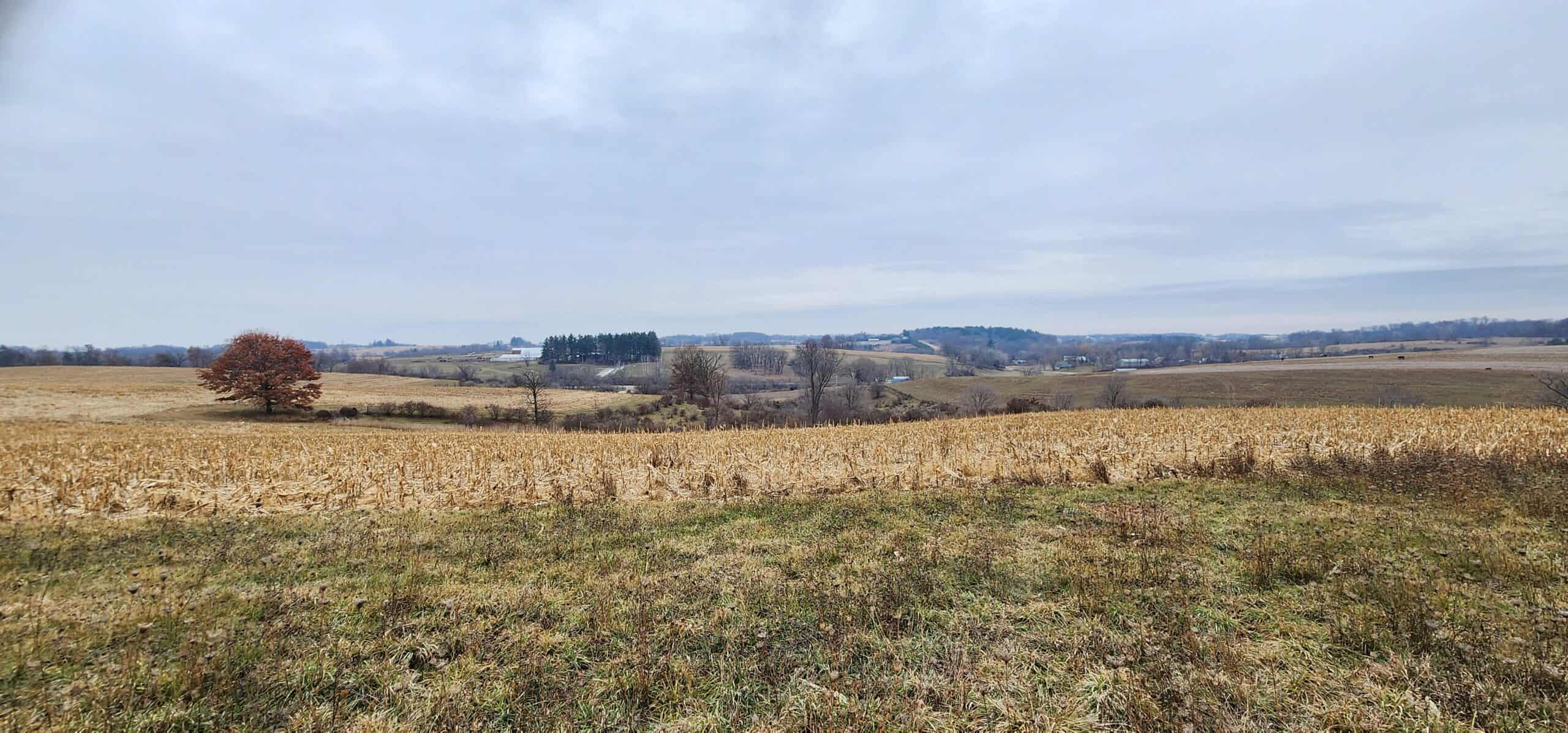 Approx. 69.52 Acres of Beautiful Land (Approx. 50 Acres Tillable) SW Wisconsin