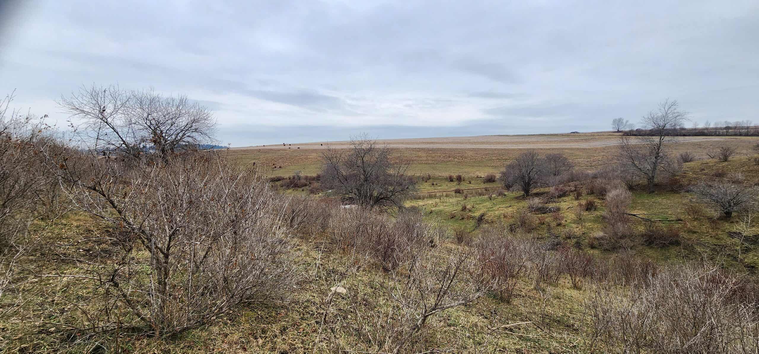Approx. 69.52 Acres of Beautiful Land (Approx. 50 Acres Tillable) SW Wisconsin