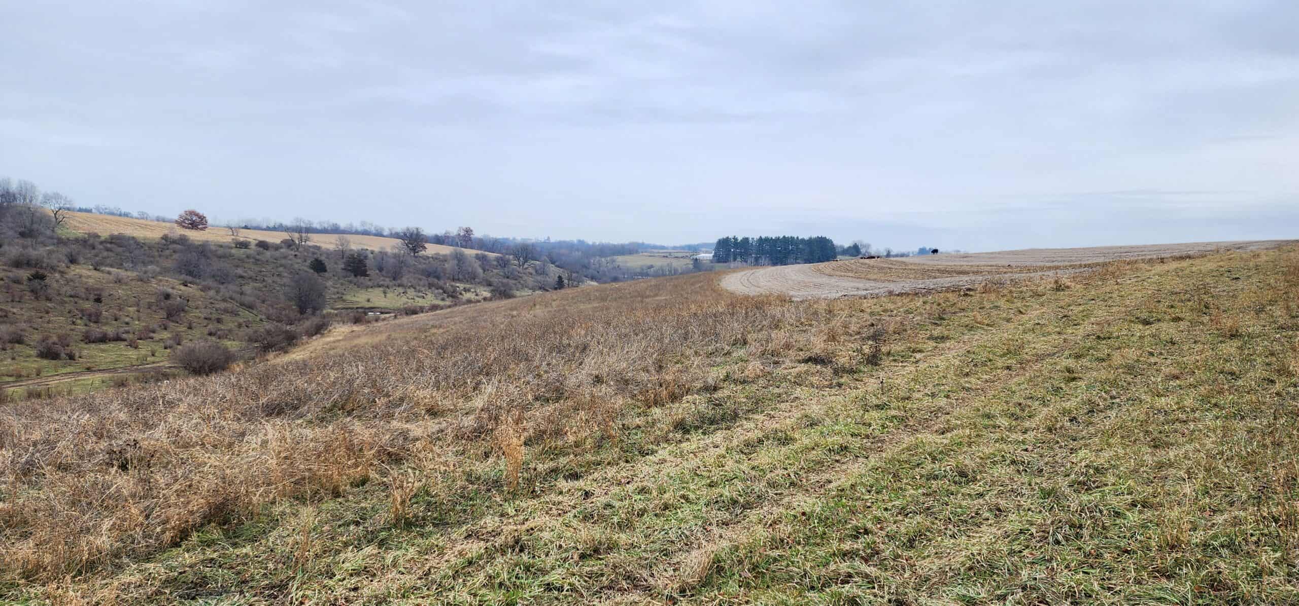 Approx. 69.52 Acres of Beautiful Land (Approx. 50 Acres Tillable) SW Wisconsin