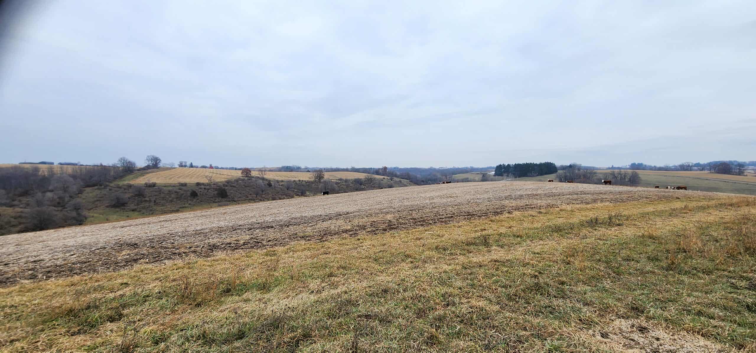 Approx. 69.52 Acres of Beautiful Land (Approx. 50 Acres Tillable) SW Wisconsin