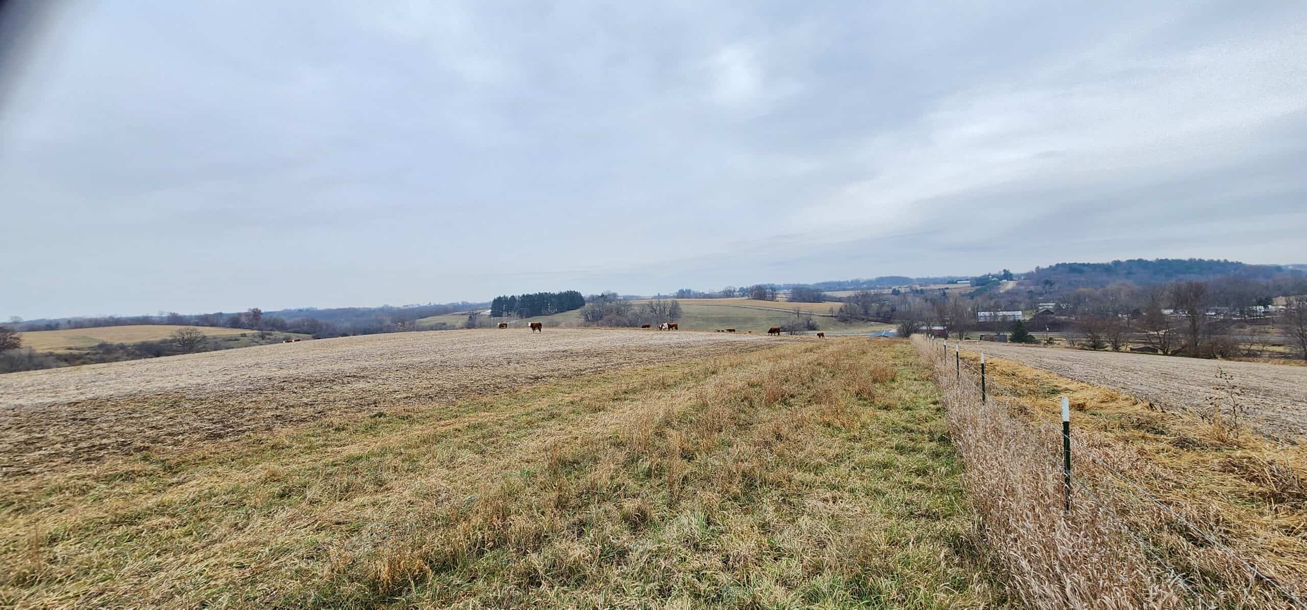 Approx. 69.52 Acres of Beautiful Land (Approx. 50 Acres Tillable) SW Wisconsin