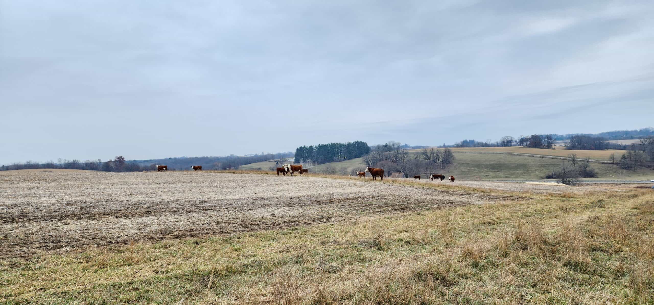Approx. 69.52 Acres of Beautiful Land (Approx. 50 Acres Tillable) SW Wisconsin