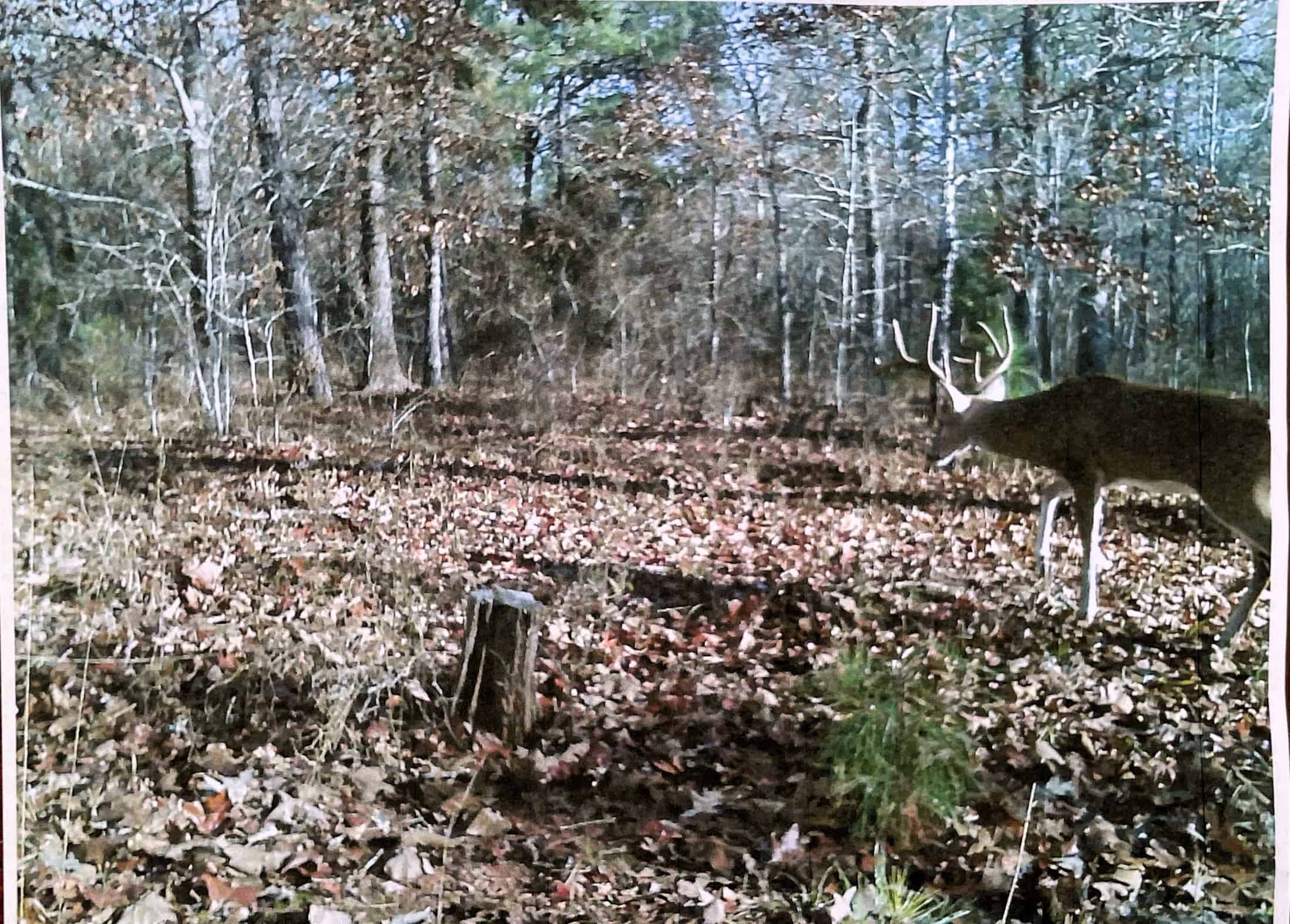 SOLD! East Texas Legacy Ranch for Sale Rusk County Near Henderson