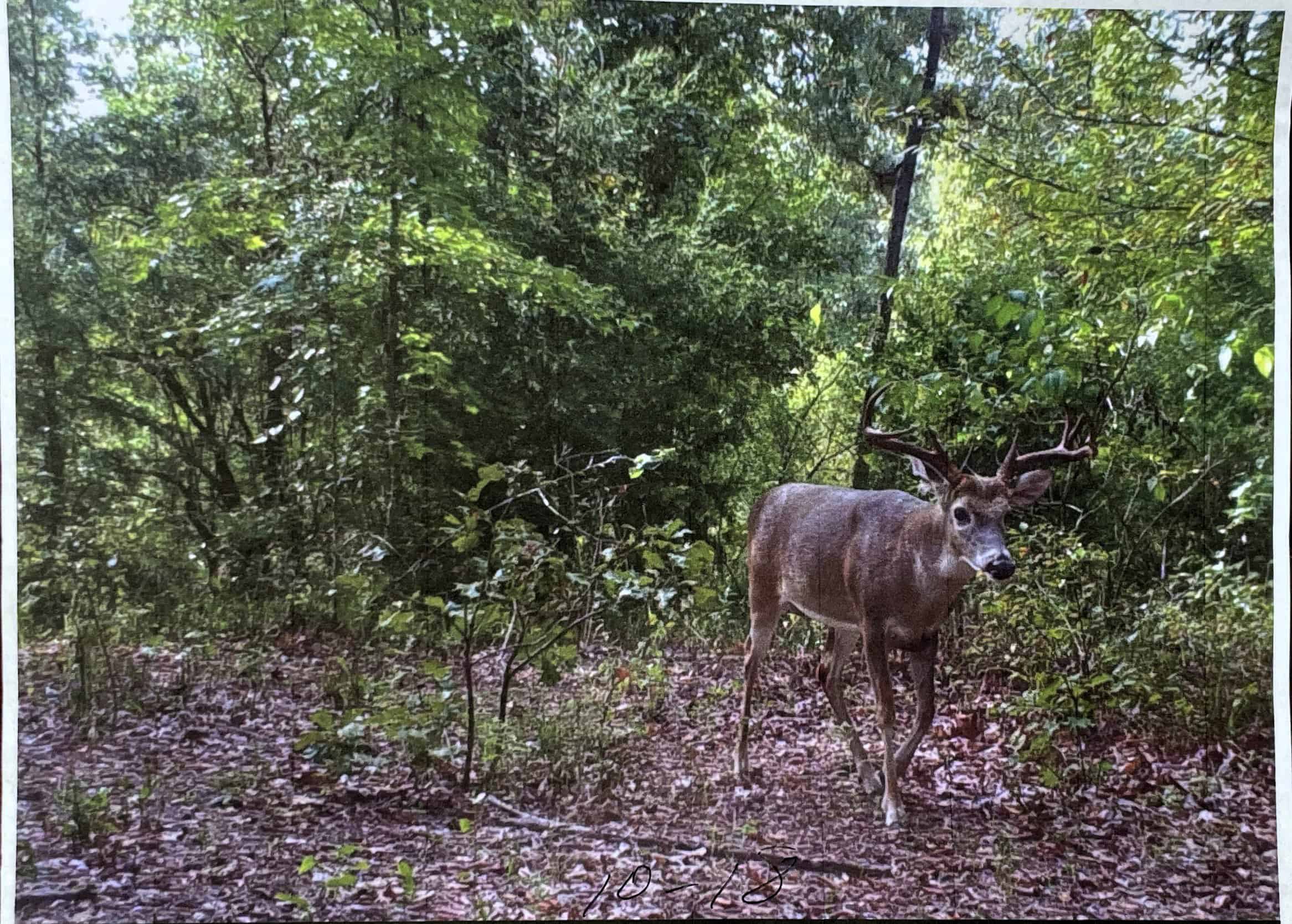 SOLD! East Texas Legacy Ranch for Sale Rusk County Near Henderson