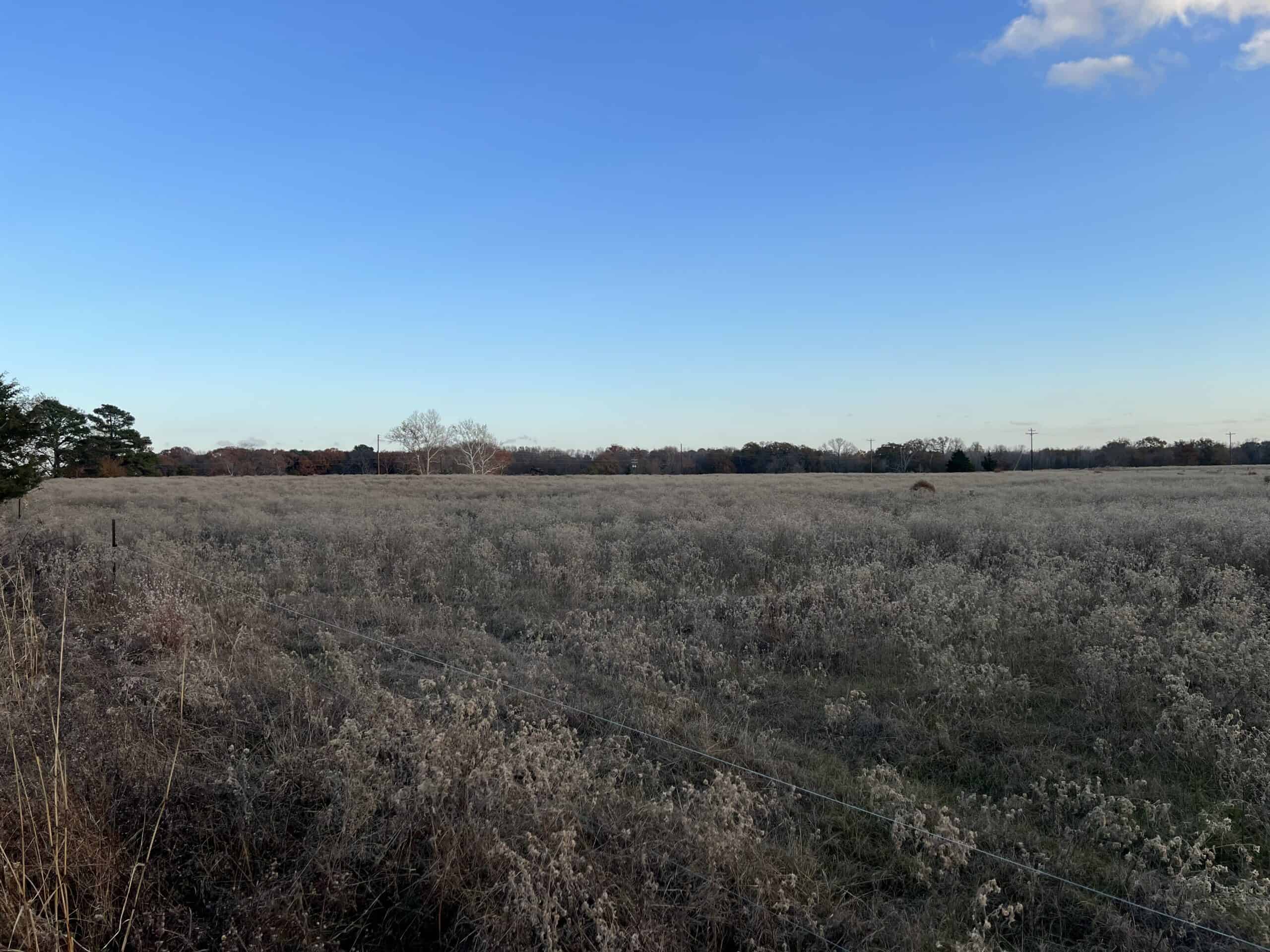 SALE PENDING! East TX Land for Sale Near Quitman Wood County
