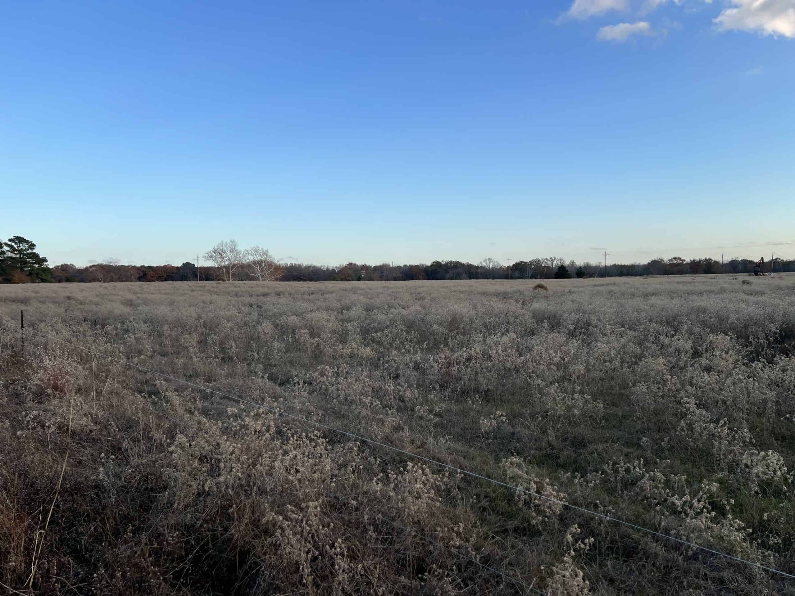 SALE PENDING! East TX Land for Sale Near Quitman Wood County