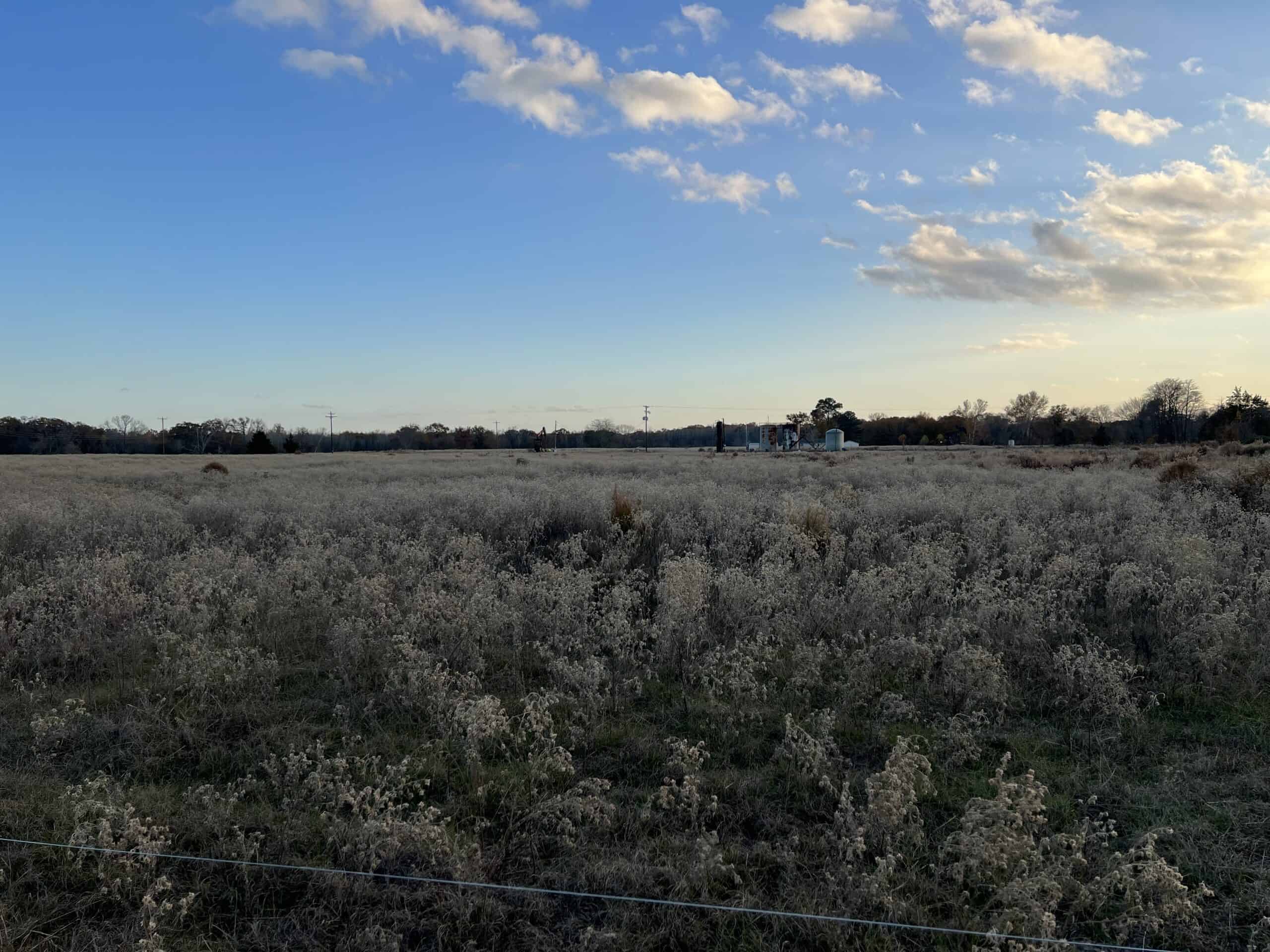 SALE PENDING! East TX Land for Sale Near Quitman Wood County