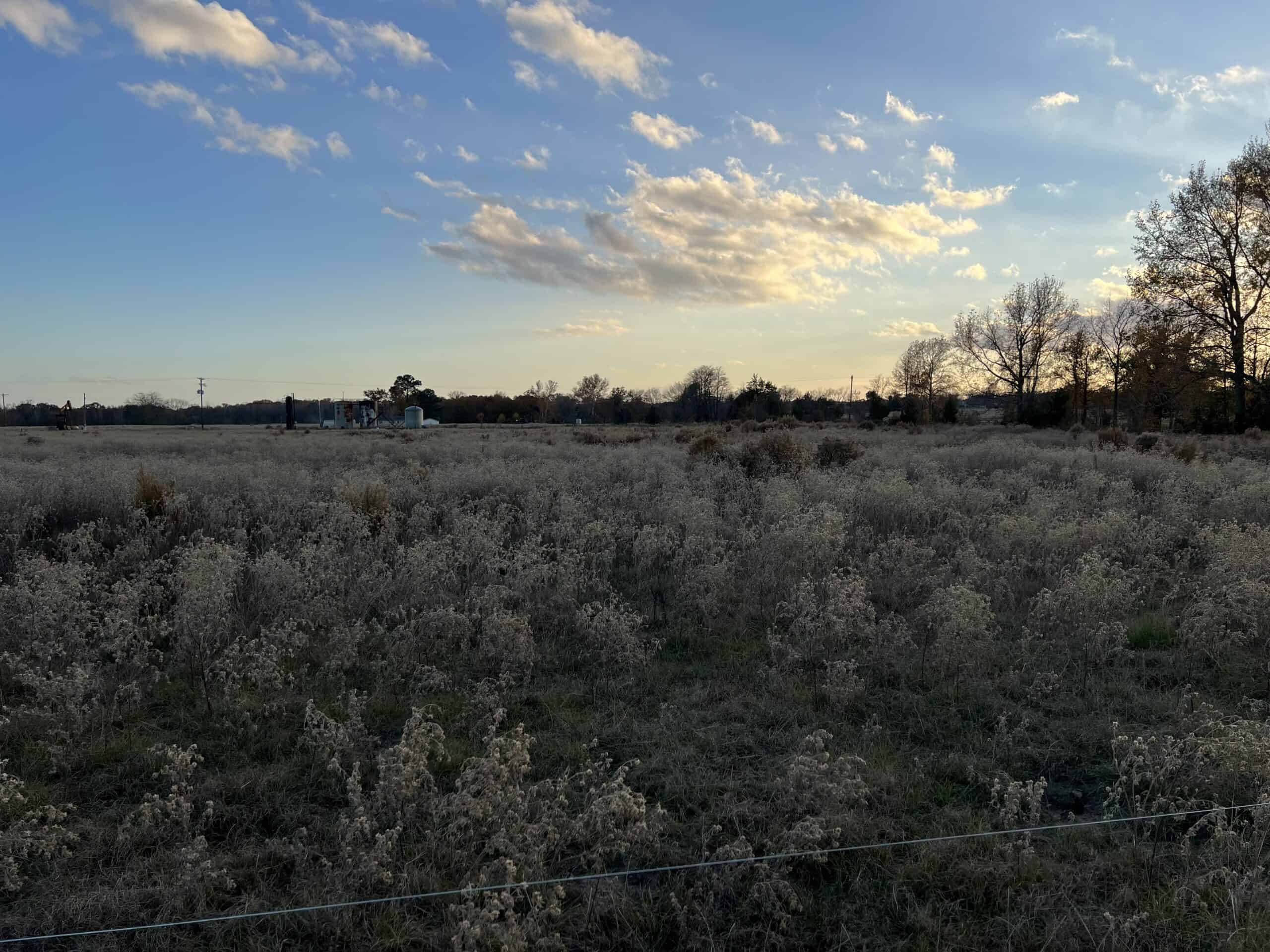 SALE PENDING! East TX Land for Sale Near Quitman Wood County