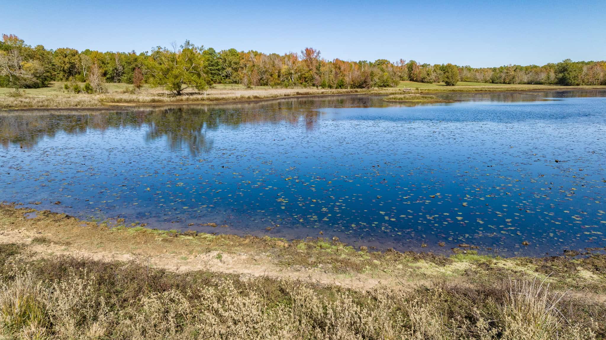SOLD! East Texas Legacy Ranch for Sale Rusk County Near Henderson