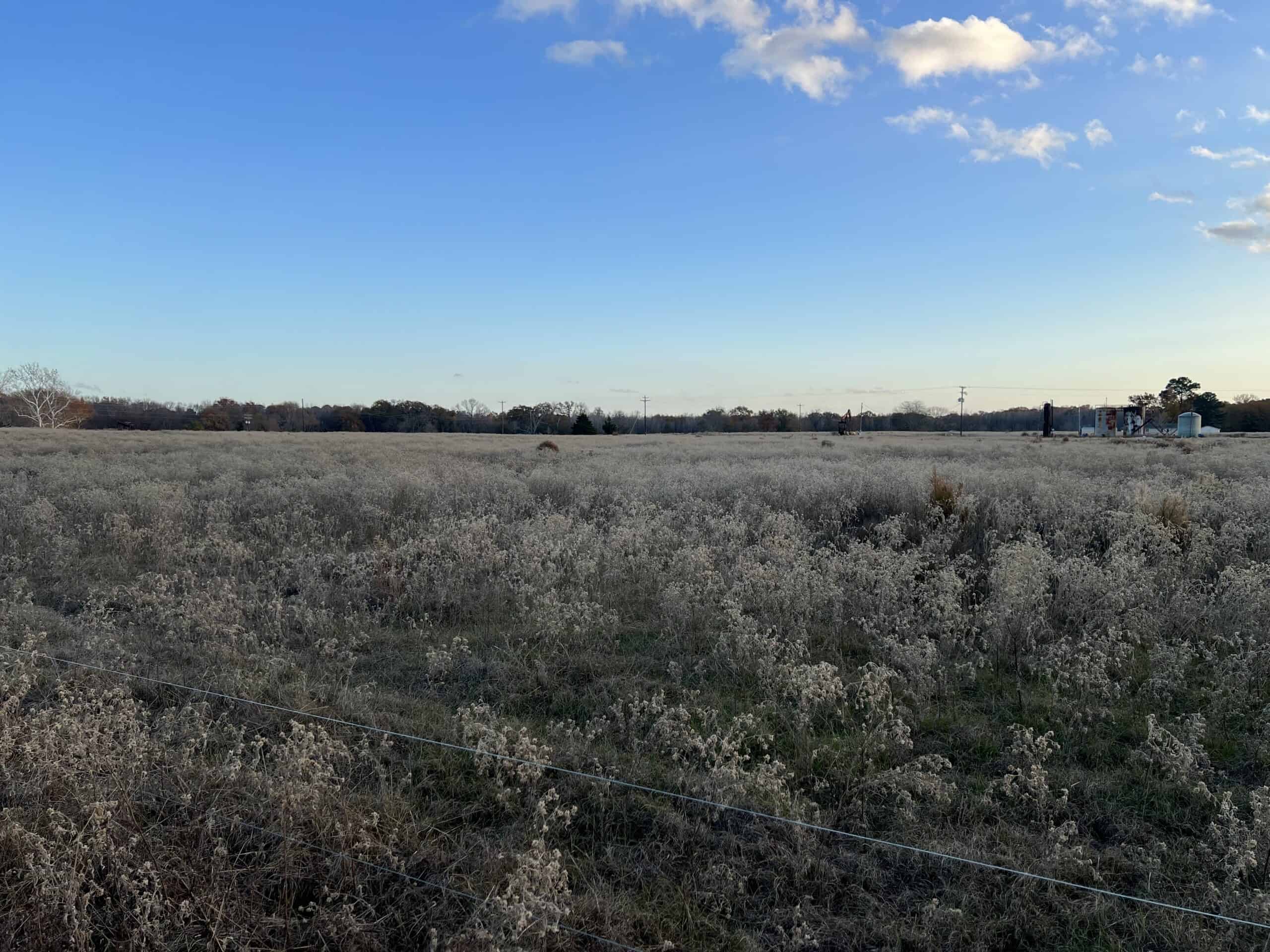 SALE PENDING! East TX Land for Sale Near Quitman Wood County