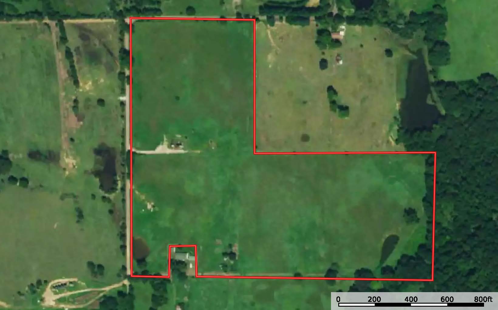 SALE PENDING! East TX Land for Sale Near Quitman Wood County