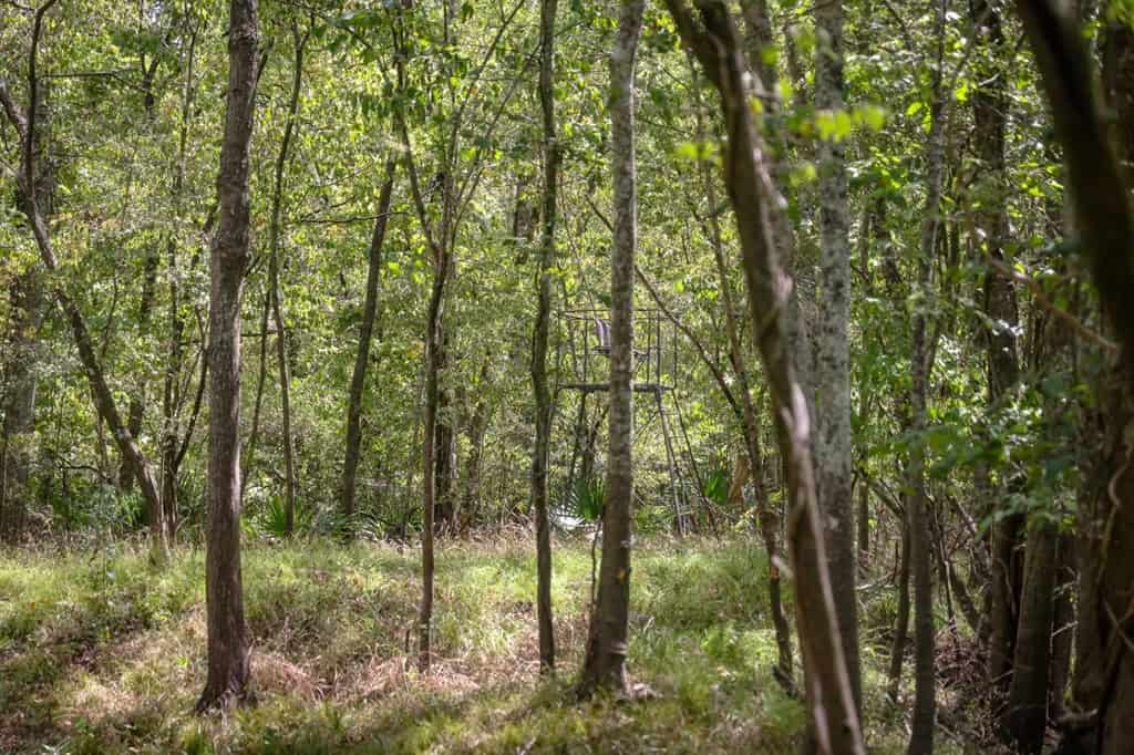 Hunting Land for Sale Just Outside of Baton Rouge