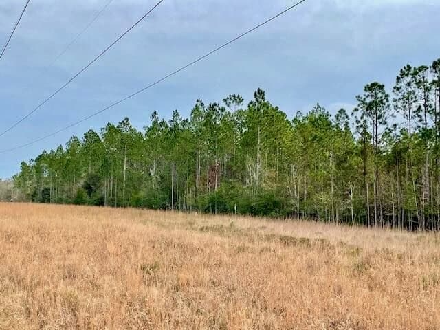 Mississippi Hunting Land For Sale Hancock County