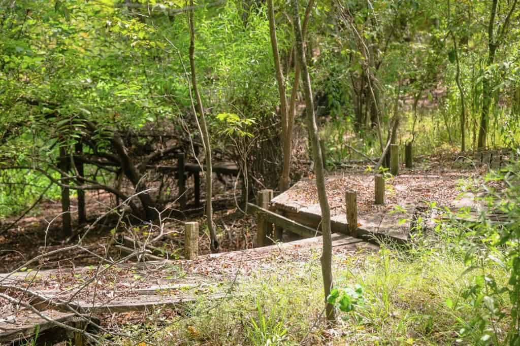 Hunting Land for Sale Just Outside of Baton Rouge