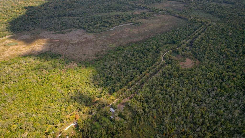 Hunting Land for Sale Just Outside of Baton Rouge