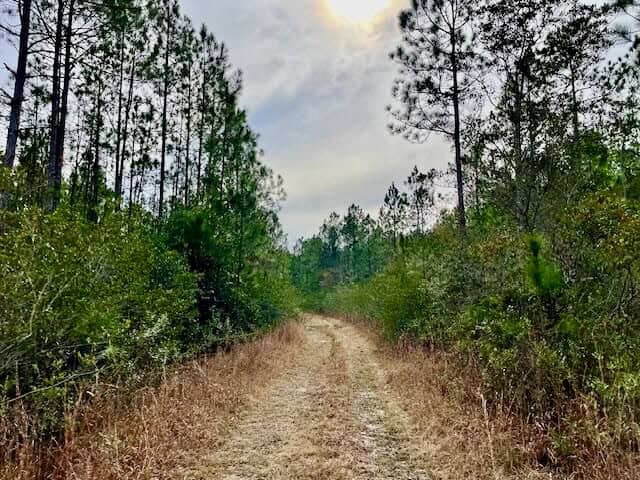 Mississippi Hunting Land For Sale Hancock County