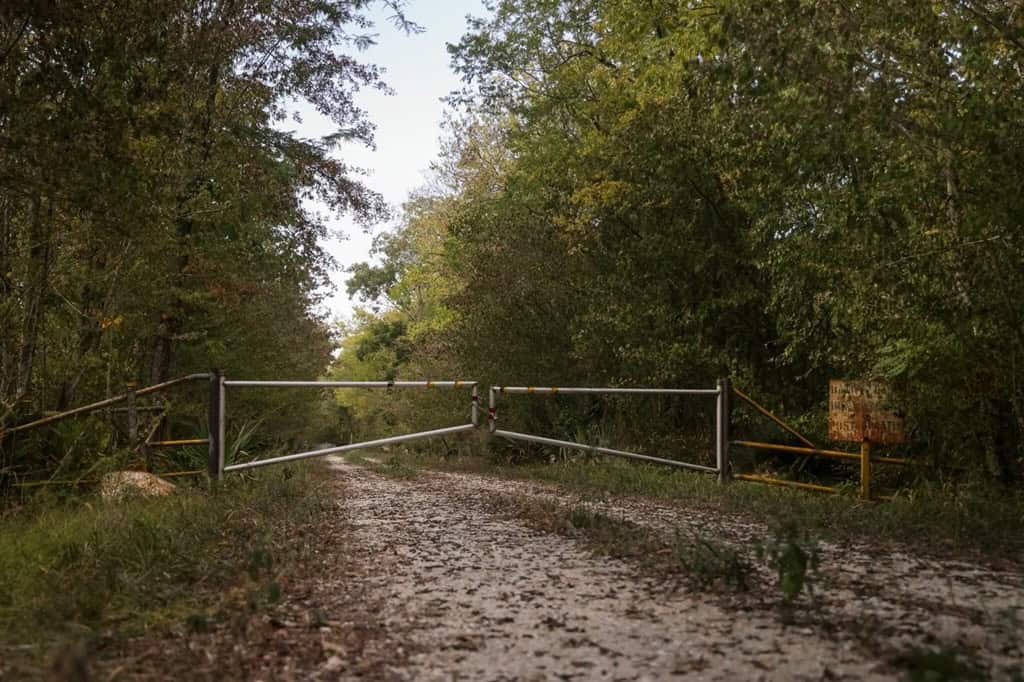 Hunting Land for Sale Just Outside of Baton Rouge
