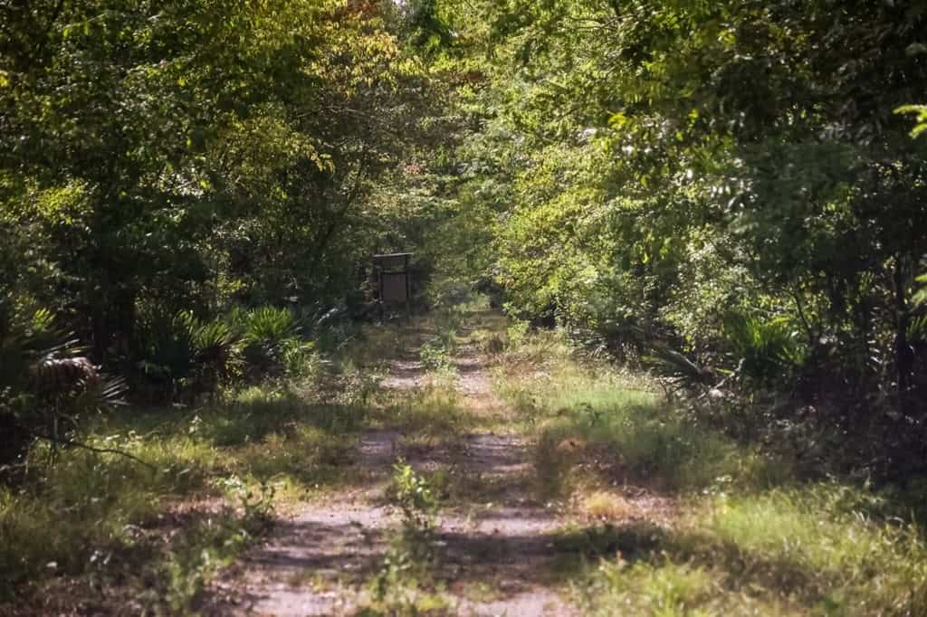 Hunting Land for Sale Just Outside of Baton Rouge
