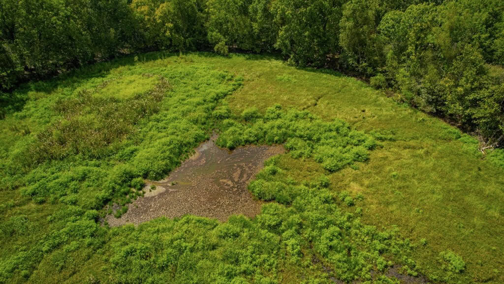 Hunting Land for Sale Just Outside of Baton Rouge