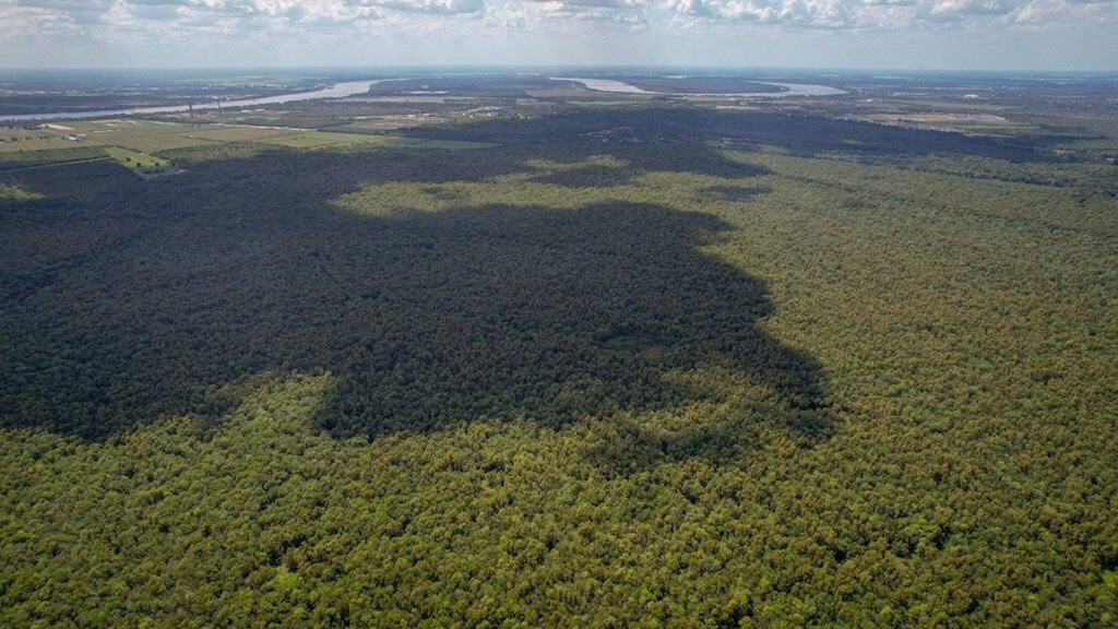 Hunting Land for Sale Just Outside of Baton Rouge