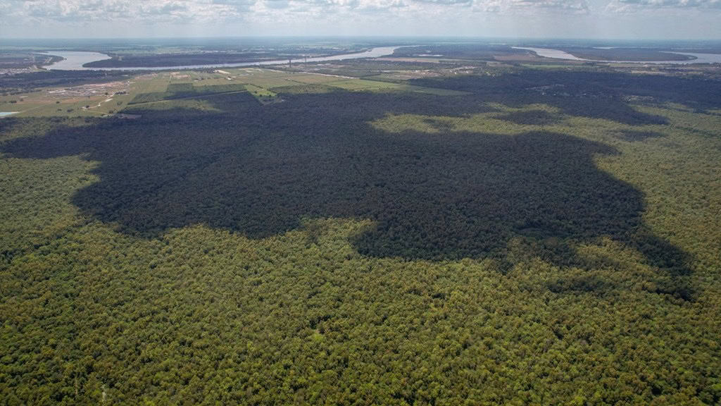 Hunting Land for Sale Just Outside of Baton Rouge