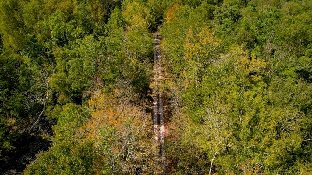 Hunting Land for Sale Just Outside of Baton Rouge