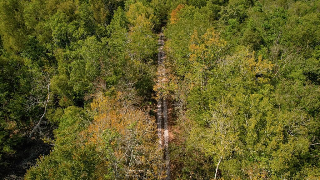 Hunting Land for Sale Just Outside of Baton Rouge