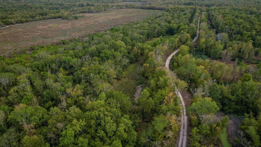 Hunting Land for Sale Just Outside of Baton Rouge
