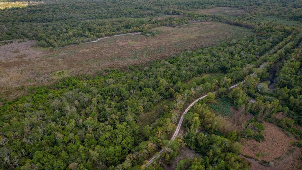 Hunting Land for Sale Just Outside of Baton Rouge