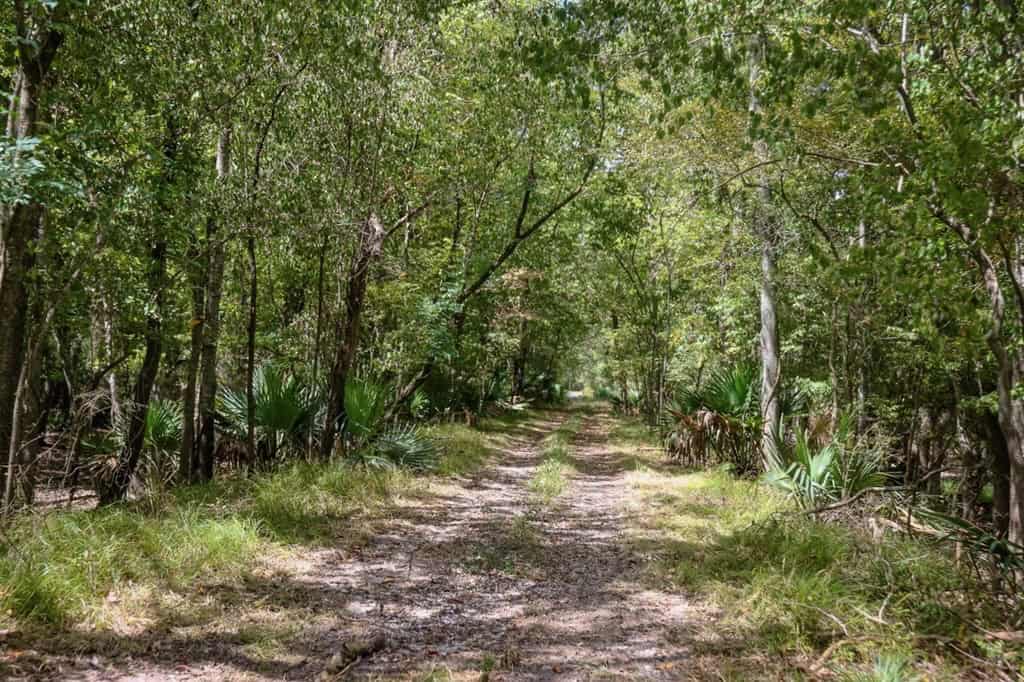 Hunting Land for Sale Just Outside of Baton Rouge