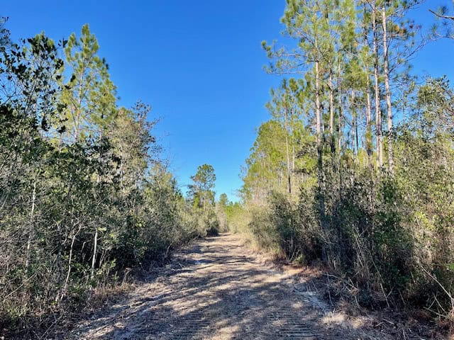 Mississippi Hunting Land For Sale Hancock County