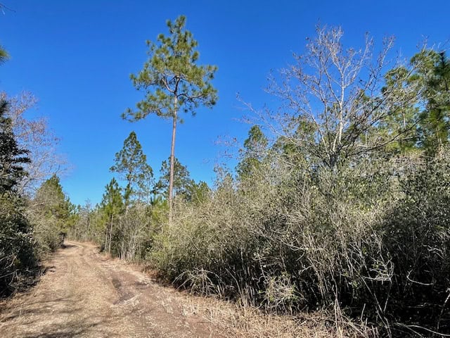 Mississippi Hunting Land For Sale Hancock County