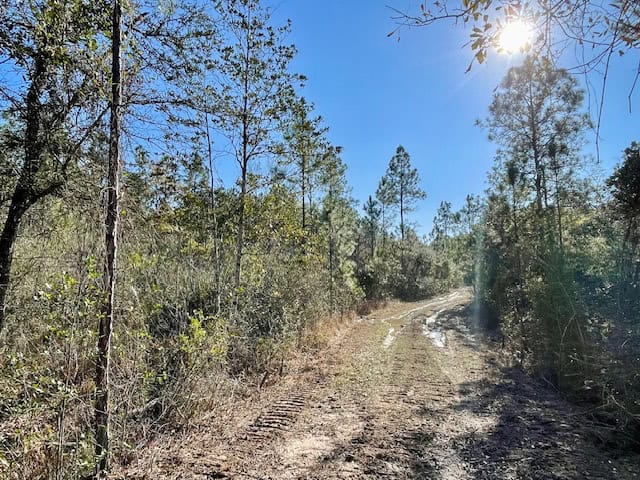 Mississippi Hunting Land For Sale Hancock County