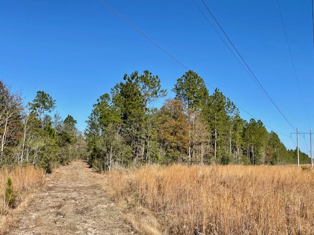 Mississippi Hunting Land For Sale Hancock County