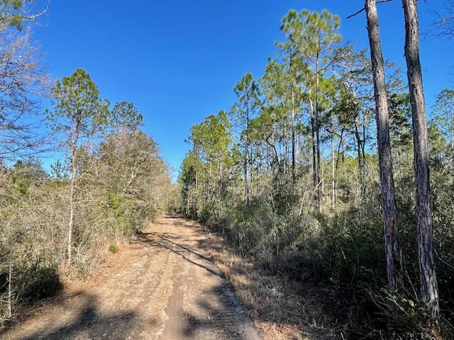 Mississippi Hunting Land For Sale Hancock County