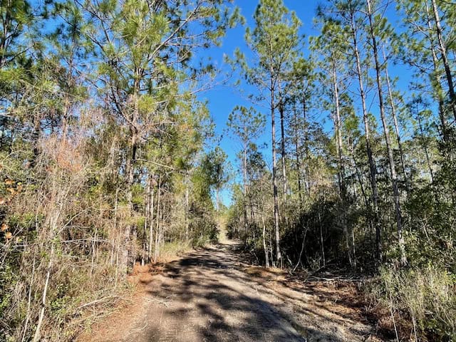 Mississippi Hunting Land For Sale Hancock County