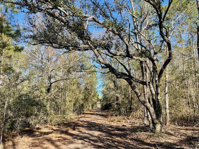Mississippi Hunting Land For Sale Hancock County