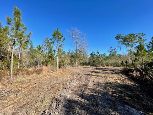 Mississippi Hunting Land For Sale Hancock County