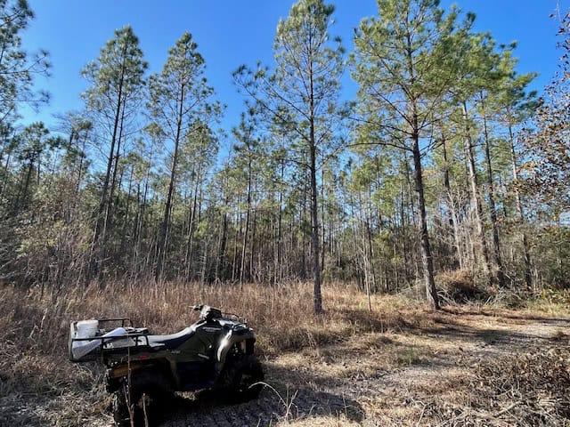 Mississippi Hunting Land For Sale Hancock County