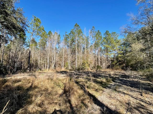 Mississippi Hunting Land For Sale Hancock County