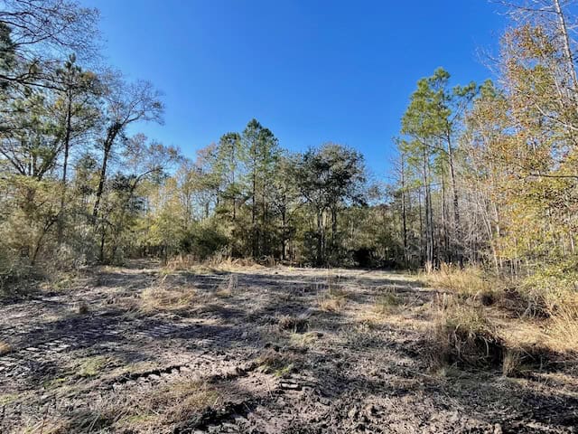 Mississippi Hunting Land For Sale Hancock County
