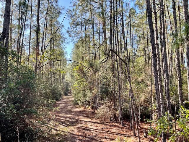 Mississippi Hunting Land For Sale Hancock County