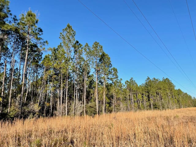 Mississippi Hunting Land For Sale Hancock County