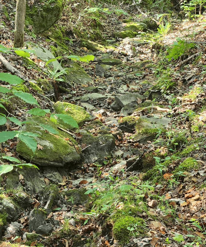 An Outdoor Enthusiast’s Haven In Boydton, VA