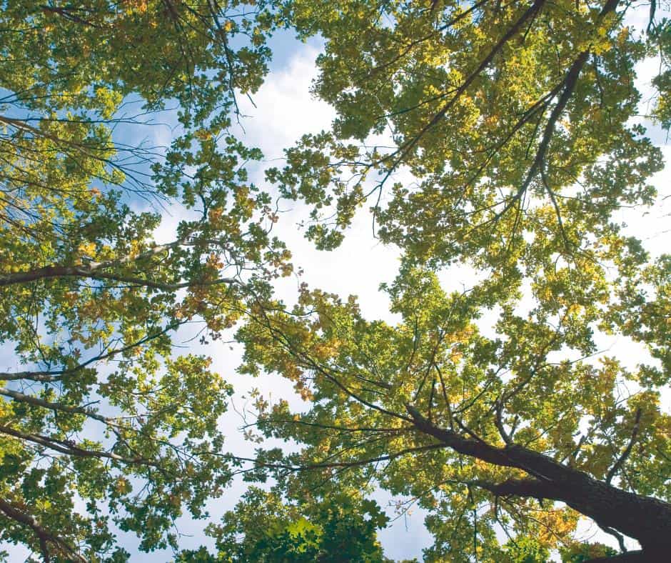 An Outdoor Enthusiast’s Haven In Boydton, VA