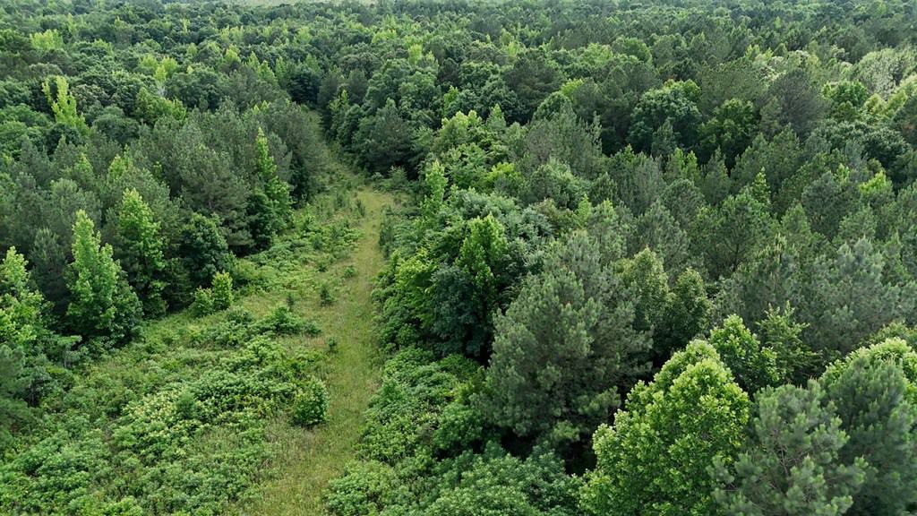 An Outdoor Enthusiast’s Haven In Boydton, VA