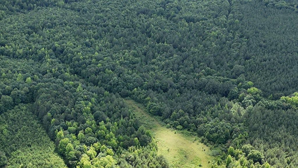 An Outdoor Enthusiast’s Haven In Boydton, VA
