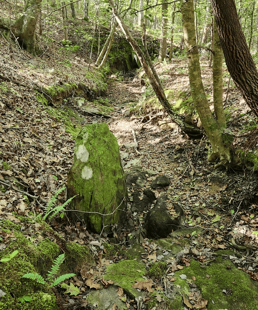 An Outdoor Enthusiast’s Haven In Boydton, VA